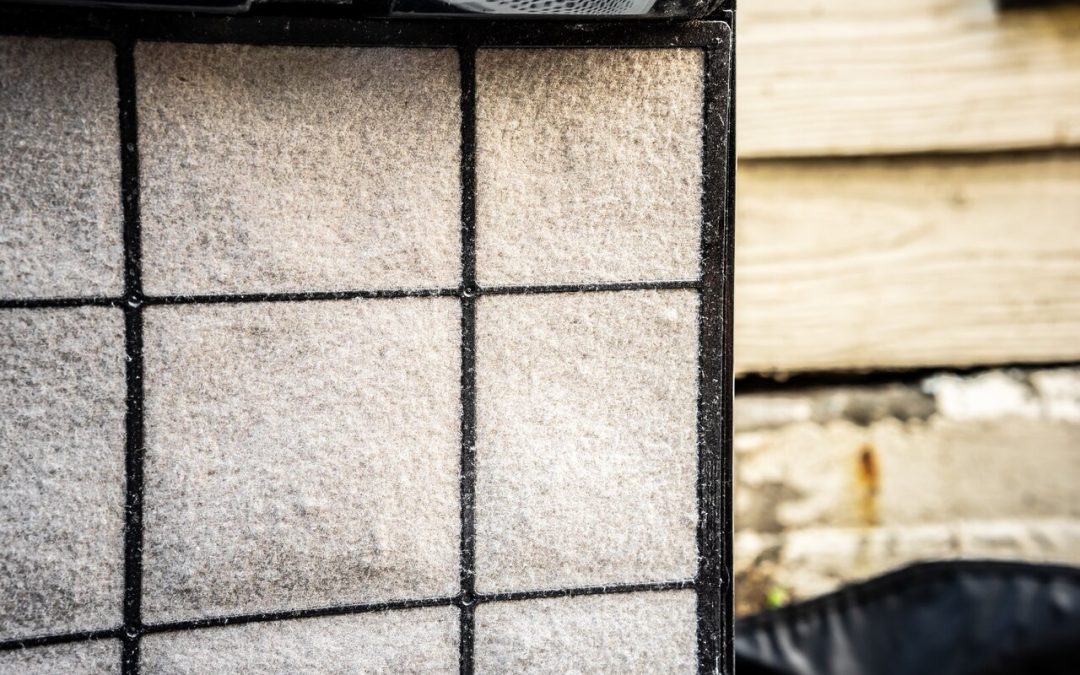 Understanding Air Filters and Their Impact on Indoor Air Quality